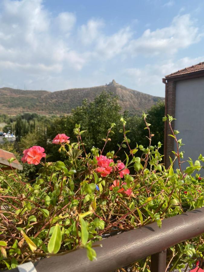 Tatin - Hotel & Cafe In Mtsʼkhetʼa Esterno foto
